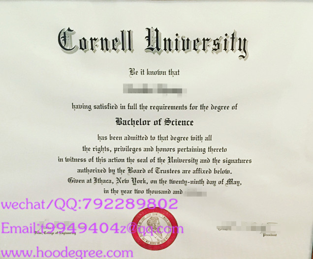 美国康奈尔大学学位证cornell university degree