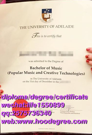 diploma from The University of Adelaide阿德莱德大学毕业证书